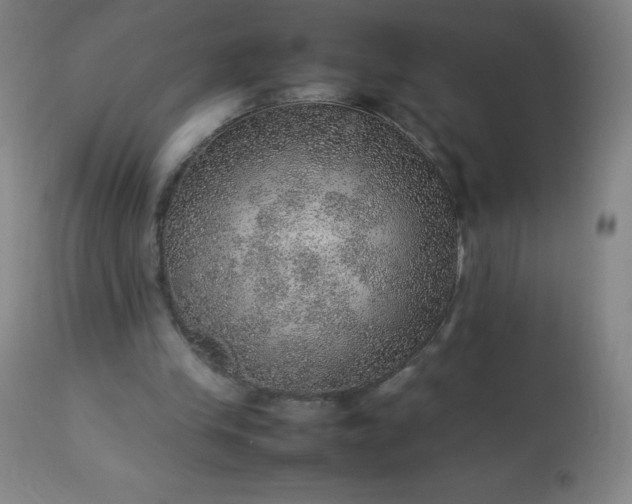 X0000113640245200910021923