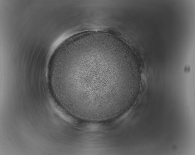 X0000113640246200910021923