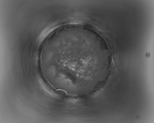 X0000113640247200910021923