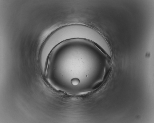 X0000113640248200910021923