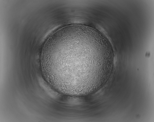 X0000113640249200910021923