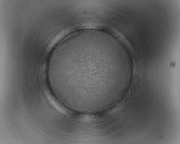 X0000113640250200910021923