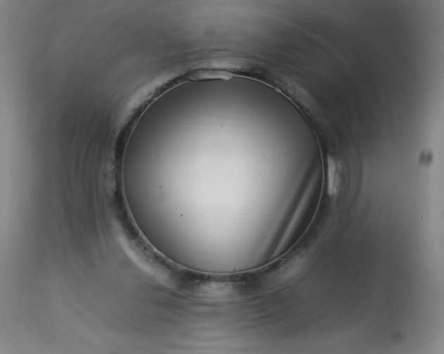 X0000113640252200910021924