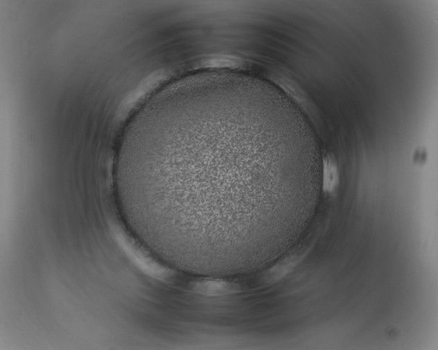 X0000113640253200910021924