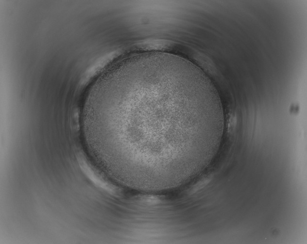 X0000113640254200910021924