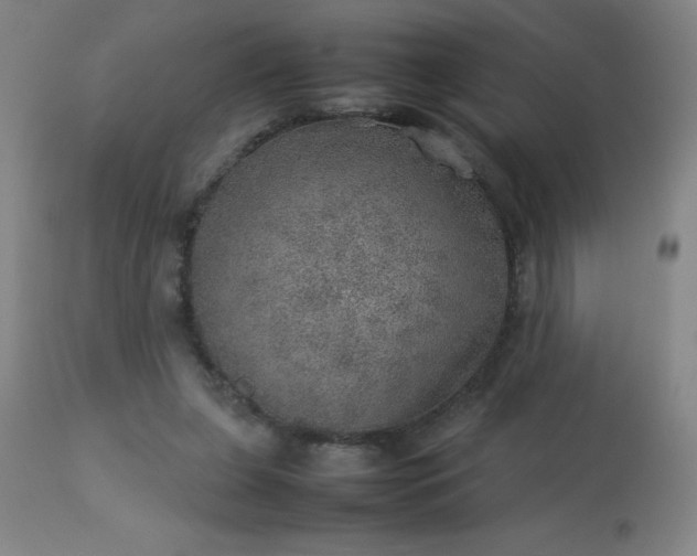 X0000113640255200910021924