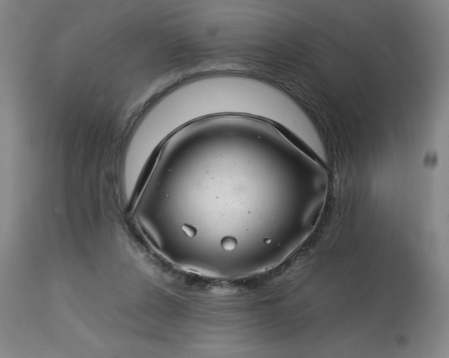 X0000113640256200910021924