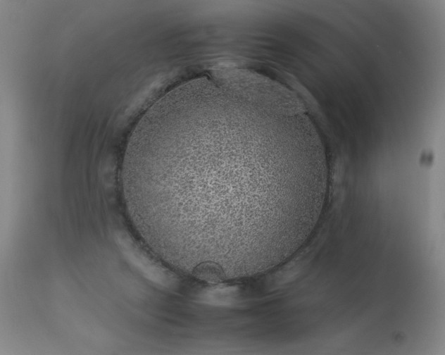 X0000113640257200910021924