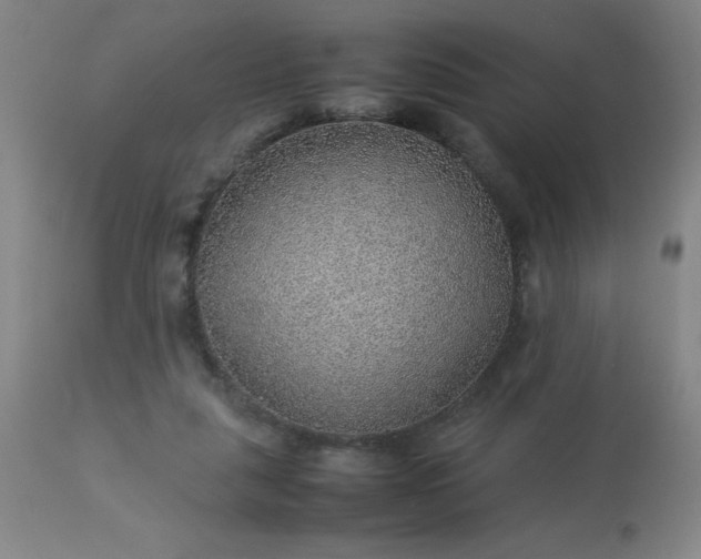 X0000113640259200910021924