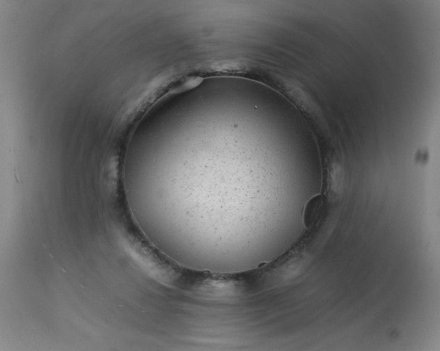 X0000113640260200910021924