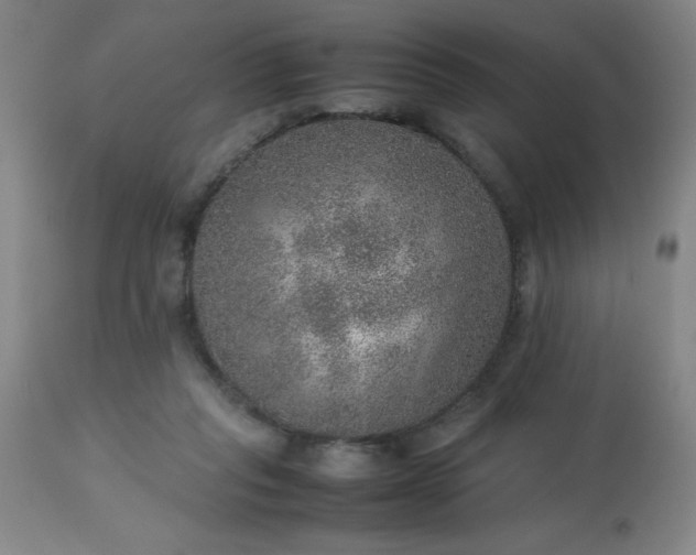 X0000113640261200910021924