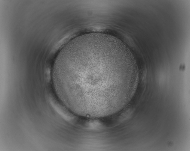 X0000113640262200910021924