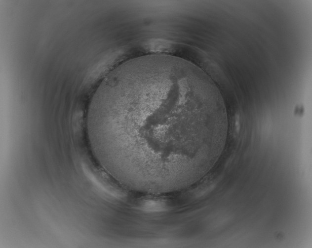 X0000113640263200910021924