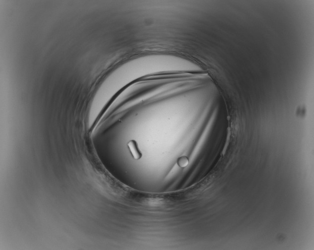 X0000113640264200910021924