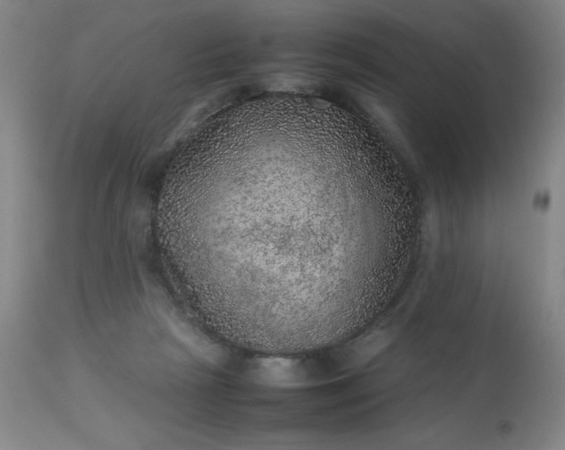 X0000113640265200910021924