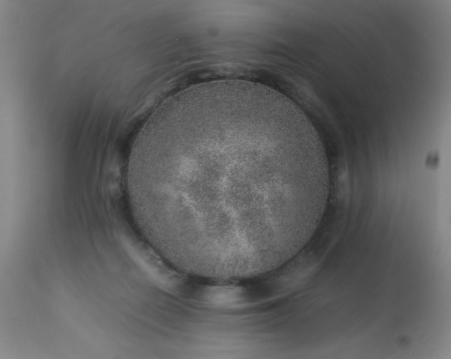 X0000113640266200910021924