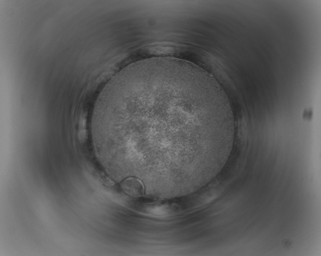 X0000113640267200910021924