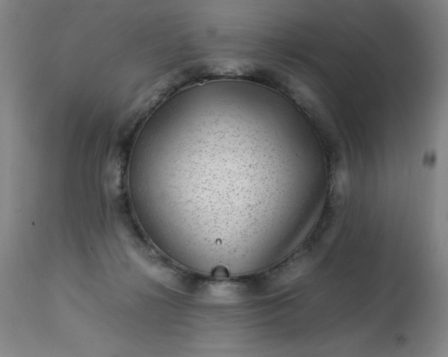 X0000113640268200910021924