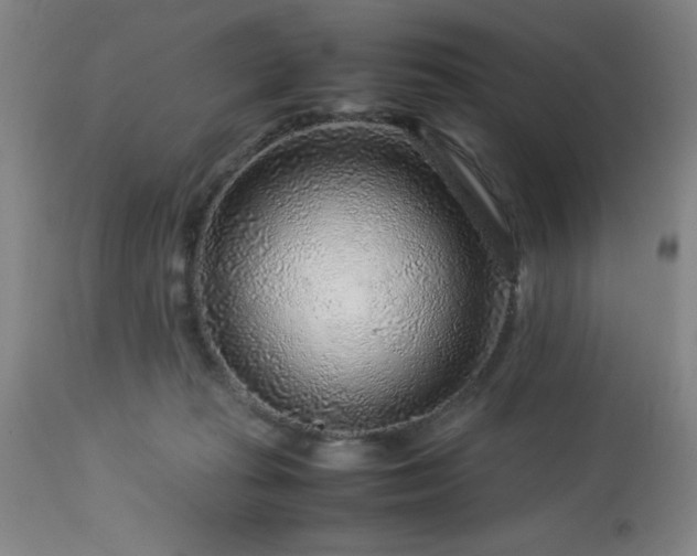 X0000113640269200910021924