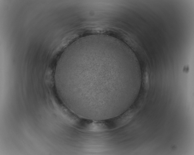 X0000113640270200910021924