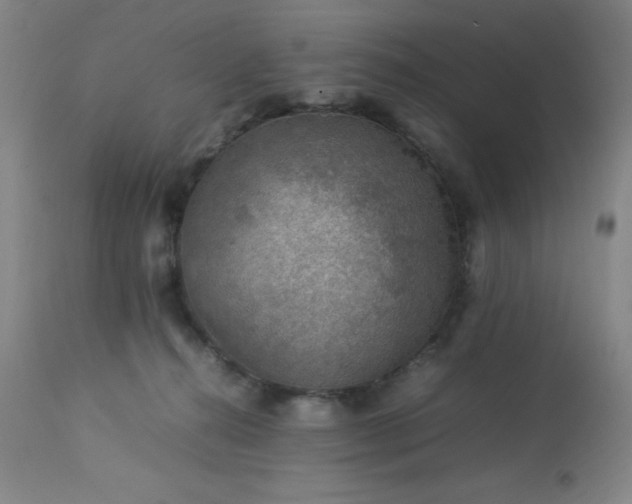 X0000113640272200910021924