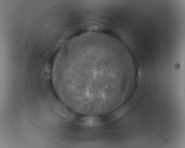 X0000113640273200910021924