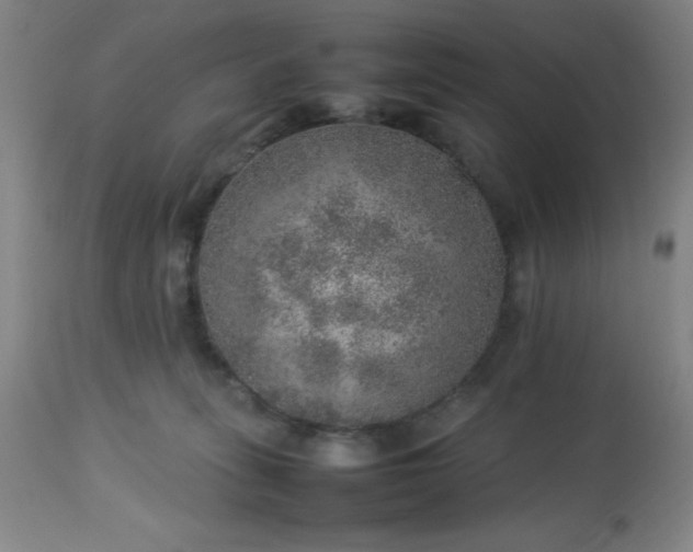 X0000113640275200910021924