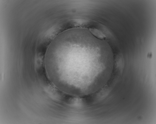 X0000113640276200910021924