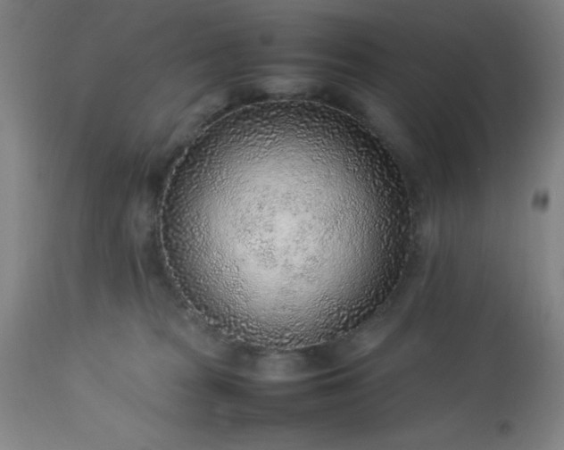 X0000113640277200910021924