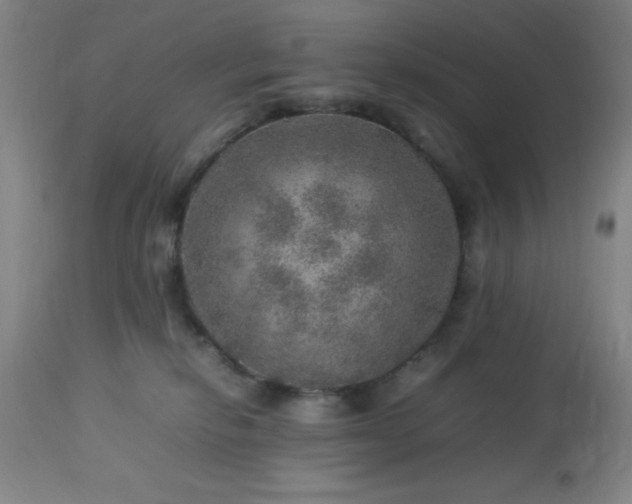 X0000113640278200910021924