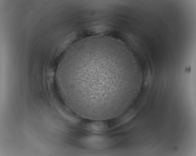 X0000113640279200910021924