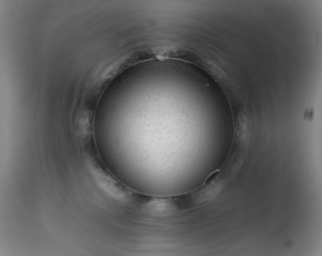 X0000113640280200910021924