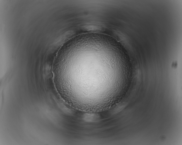 X0000113640281200910021924