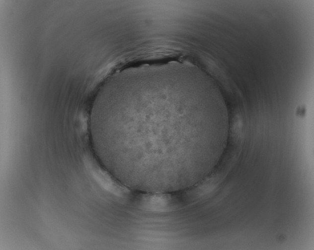 X0000113640282200910021924