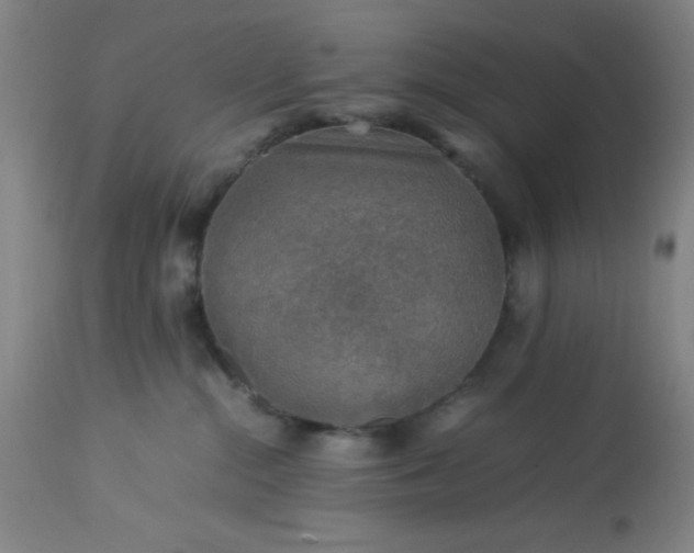 X0000113640284200910021924