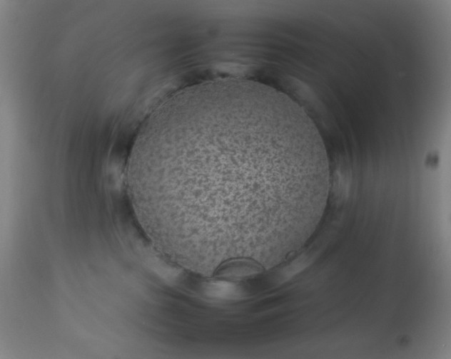 X0000113640285200910021924