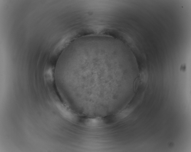 X0000113640286200910021924