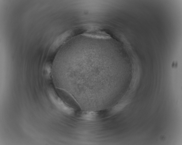 X0000113640288200910021924