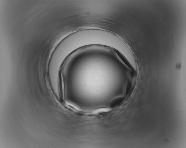 X0000113640289200910021923