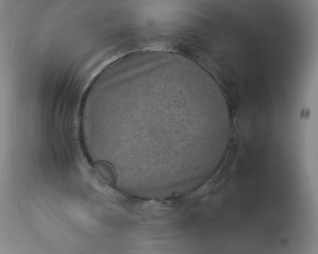 X0000113640290200910021923