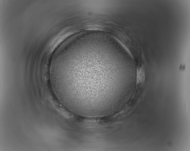 X0000113640291200910021923