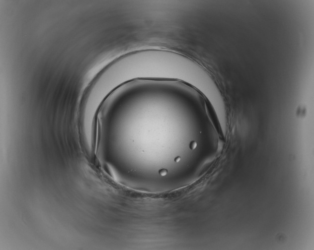 X0000113640292200910021923