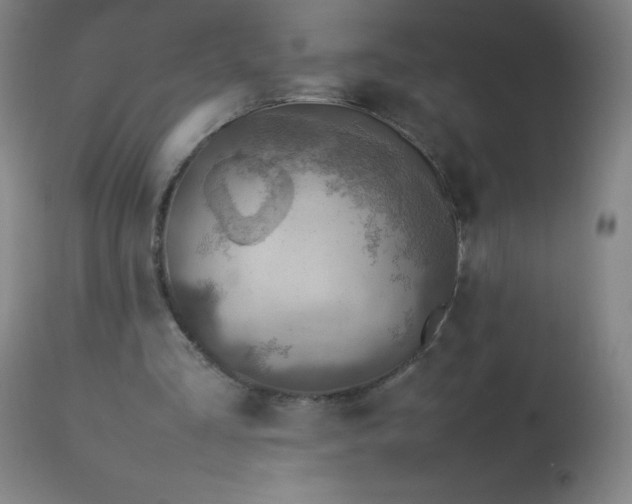 X0000113640293200910021923