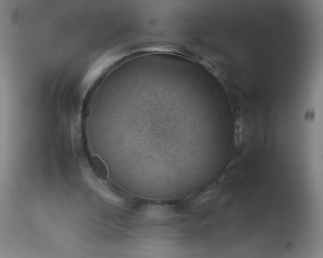 X0000113640296200910021923