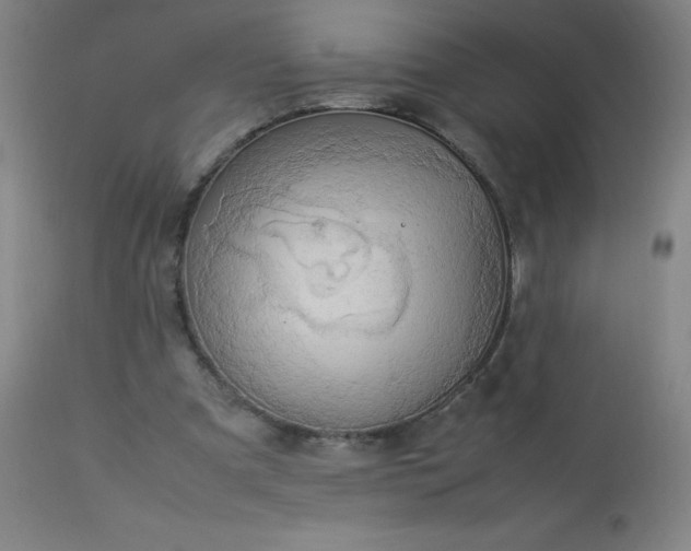 X0000113640297200910021923