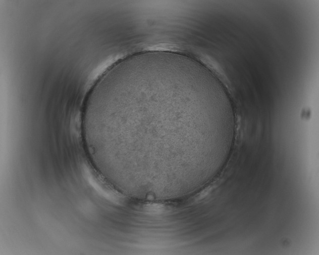 X0000113640298200910021923