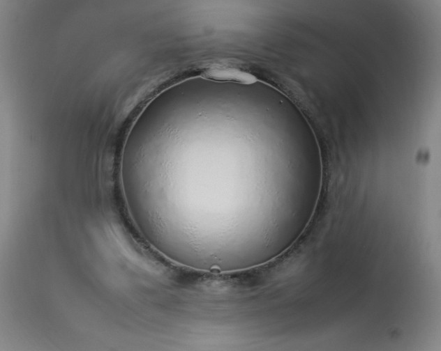 X0000113640299200910021923