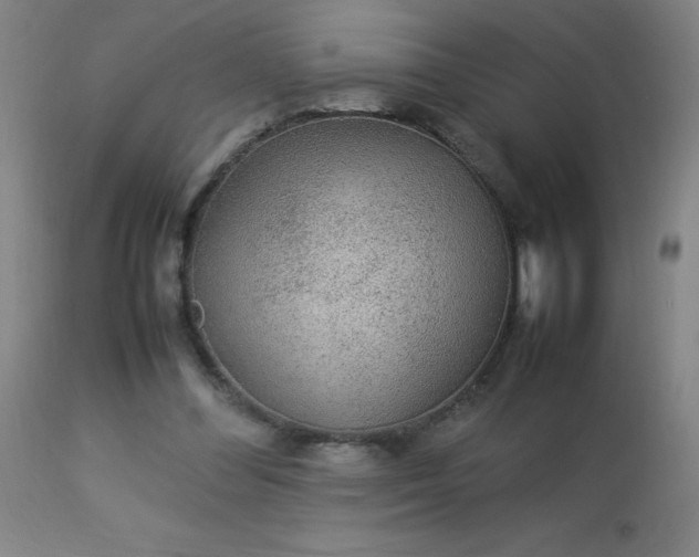 X0000113640300200910021923