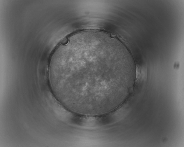 X0000113640301200910021923