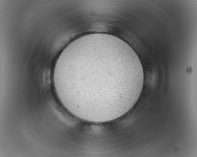 X0000113640302200910021923